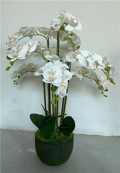 Plante en pot - modèle 'XSJ-3'