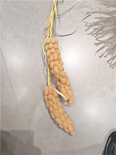 Fleur maïs décoratif ocre 140 cm - 278