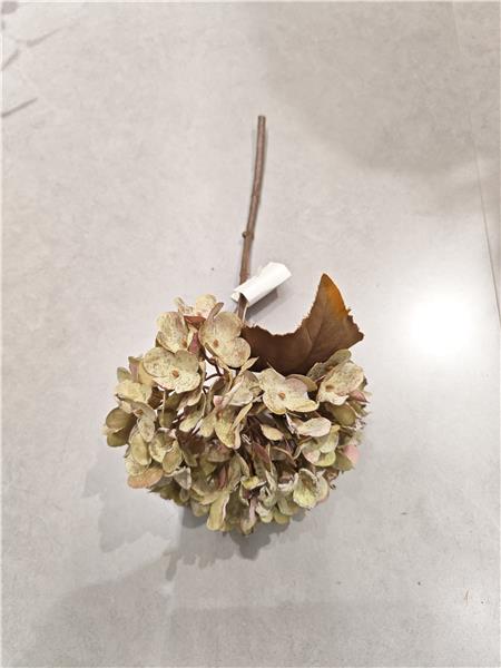 Branche d'hortensia séché 32 cm - 234