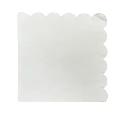 Lot de 20 serviettes uni
