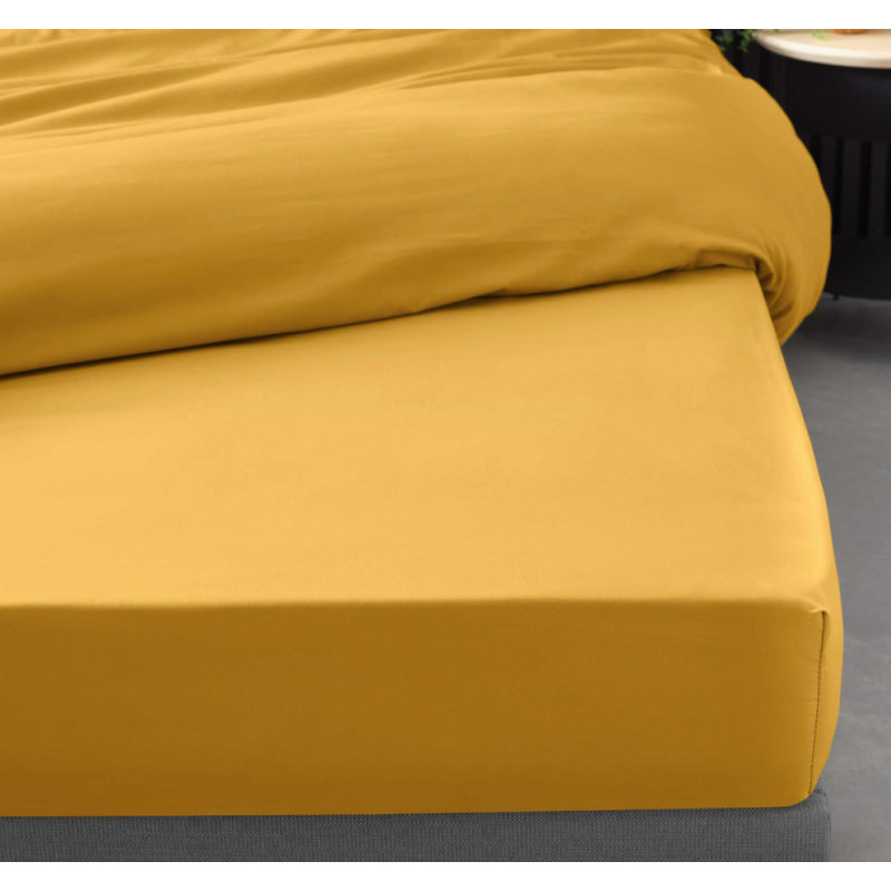 Drap housse 2 personnes 160 x 200 cm percale uni 78 fils percaline curry