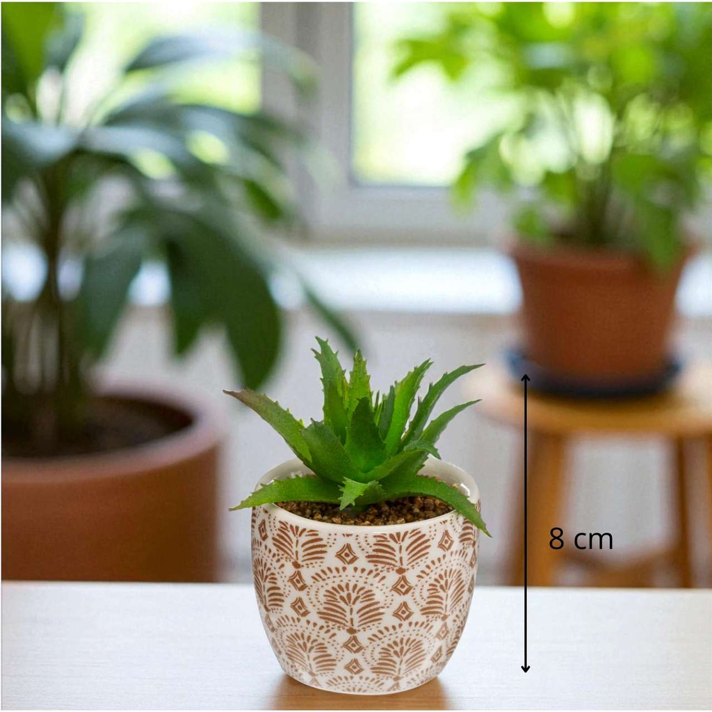 Plante AKO H9 cm - marron