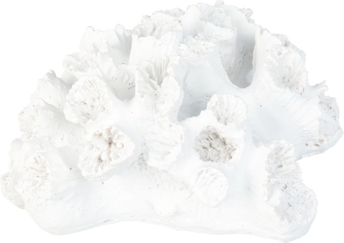 Deco corail blanc grand