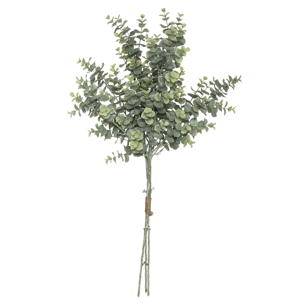 Bouquet euca h64