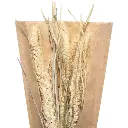 Bouquet seche nat display h45 pampas