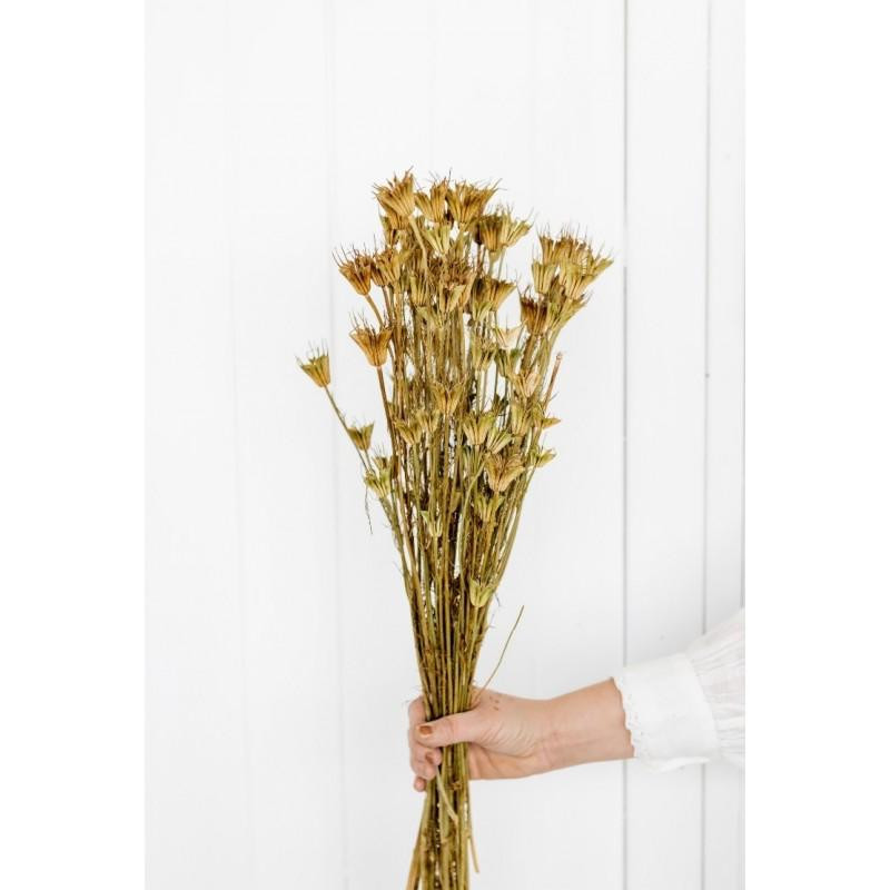 Bouquet seche nat display h45 avec grains