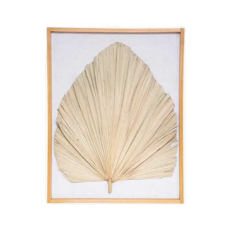 Deco mur palmier wonder 49x61