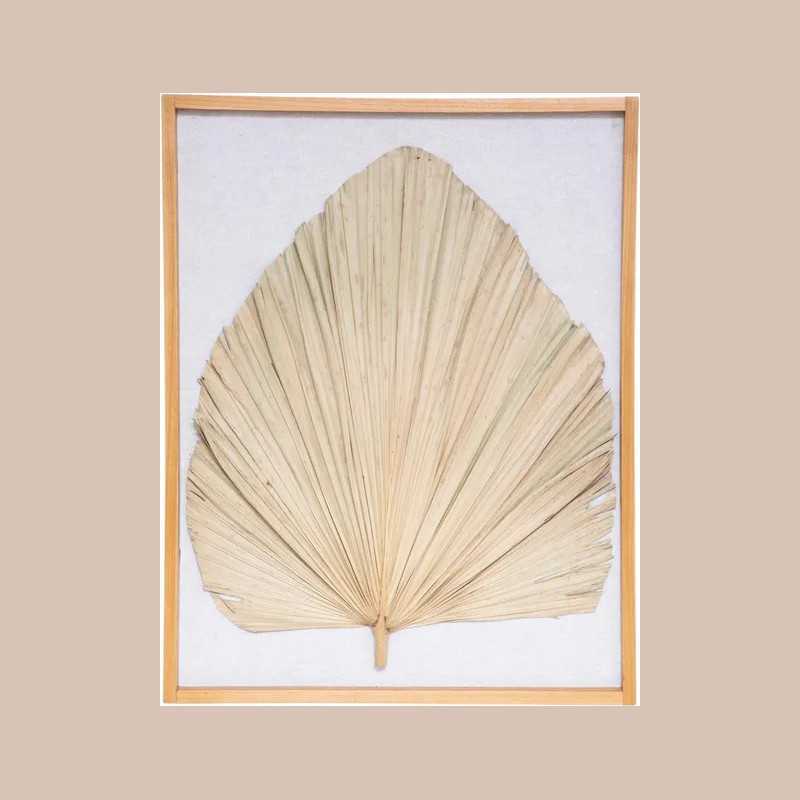 Deco mur palmier wonder 49x61