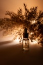 Huile parfumée pour diffuseur