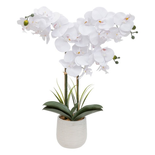 Orchidée pot céramque riva h60