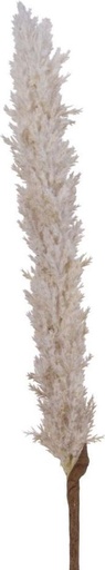 Herbe de la pampa sur tige plastique 