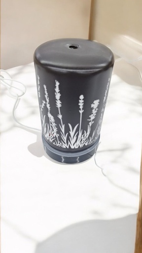 Diffuseur d'huiles essentielles