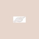 Coquille