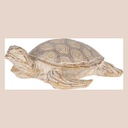 Grande tortue polynésienne motif a losange