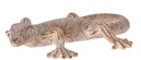 Grand lézard motif hexagone
