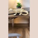 Animal de mer 14cm lezard