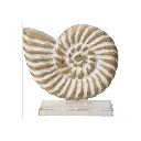 Coquillage sur pied 19cm finit