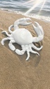 Animal de mer 14cm blanc crabe