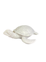 Animal de mer 14cm blanc tortue