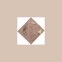 Serviettes x20 kraft/feuilles dores