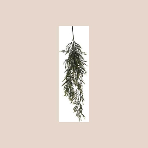 Plante pendantes 1
