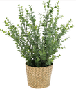 Deco plante artificielle 35cm - eucalyptus