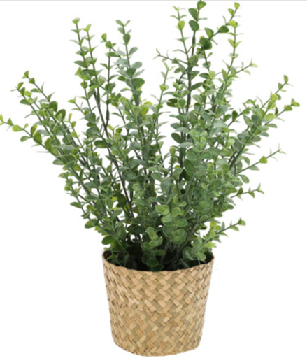 Deco plante artificielle 35cm - eucalyptus