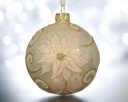 Boule verre email poinsettia 