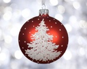 Boule verre mat sapin 