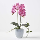 Orchidee pot de fleurs coniq blanc jumbo