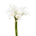 Bouquet 8 arum blanc h36
