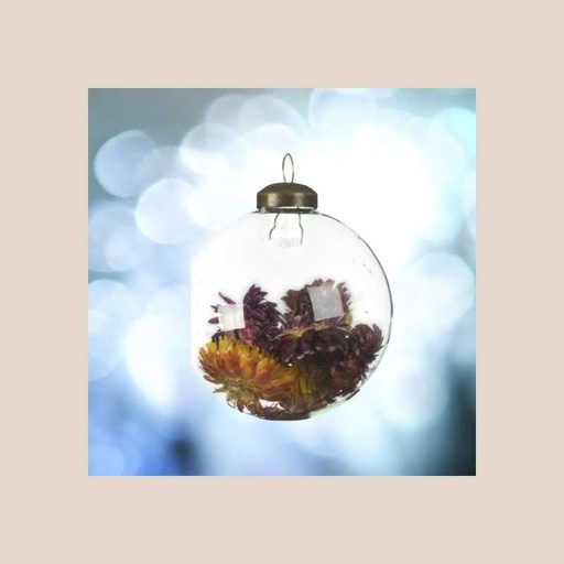 Boule de noël verre transp multi