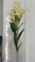 Fleur tige jaune