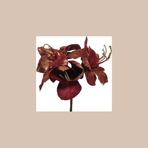 Fleur amaryllis sur tige poly. bordeaux