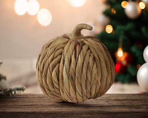 Citrouille en jacinthe tissage  naturel matt 18cm
