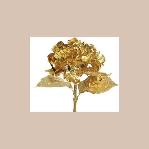 Hortensia sur tige poly. or