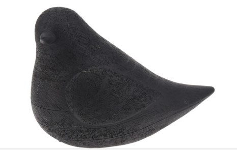 Oiseau noir