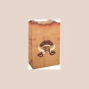 4 sachets pirate papier kraft et or 9,5x15cm