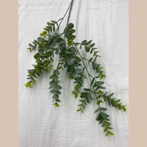 Eucalyptus plastique