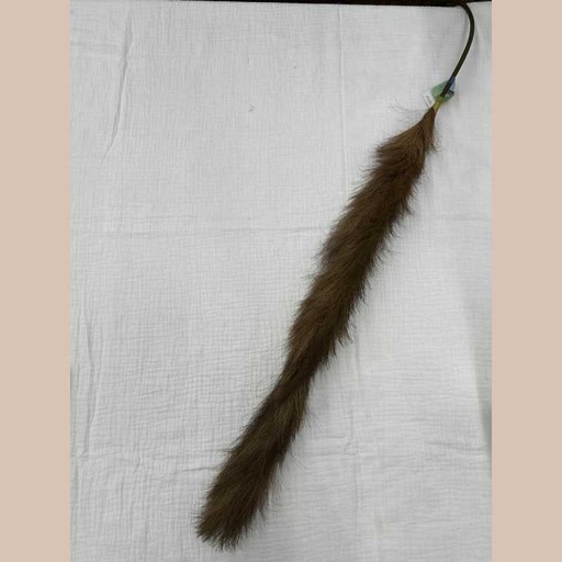 Herbe de la pampa polyester-marron