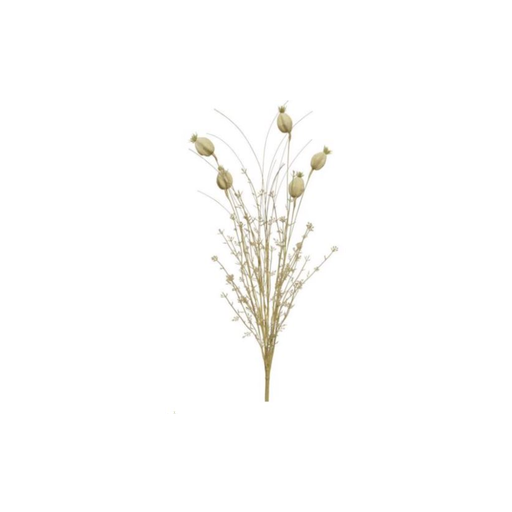 Fleurs séchée