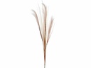 Pampas polyester couleur rose