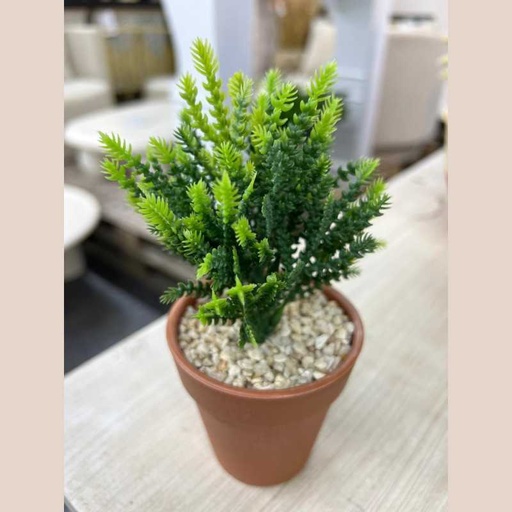 Plante plastique thin