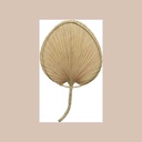 Deco murale feuille palme