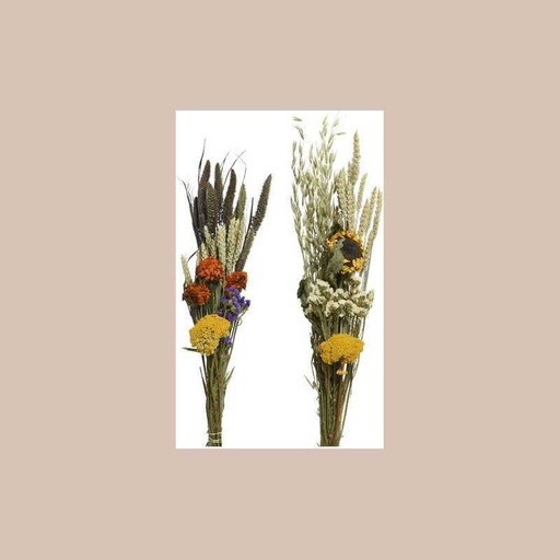 Bouquet fleurs séchées d12-h60 cm