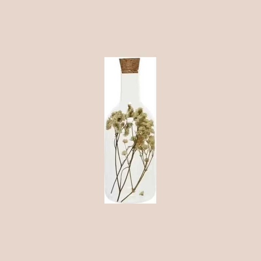 Bouteille verre fleurs séchées couleur beige 