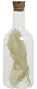 Bouteille verre pampa beige