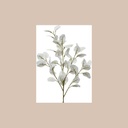 Eucalyptus polyester blanche