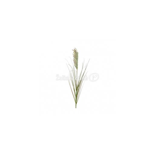 Herbe pvc