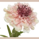 Fleur polyester